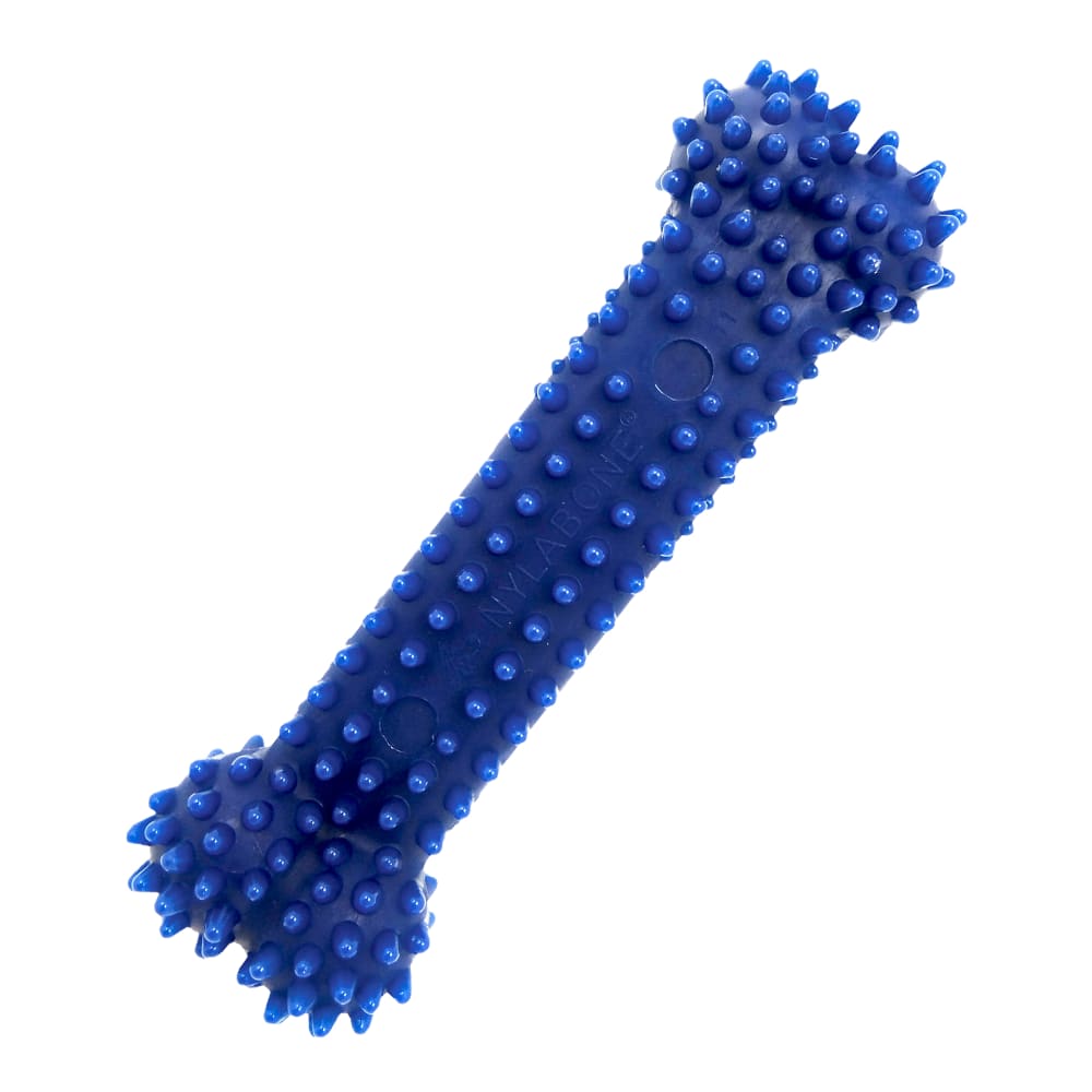 Nylabone Flexi Chew Gumabone Textured Dental Bone Dog Chew Toy