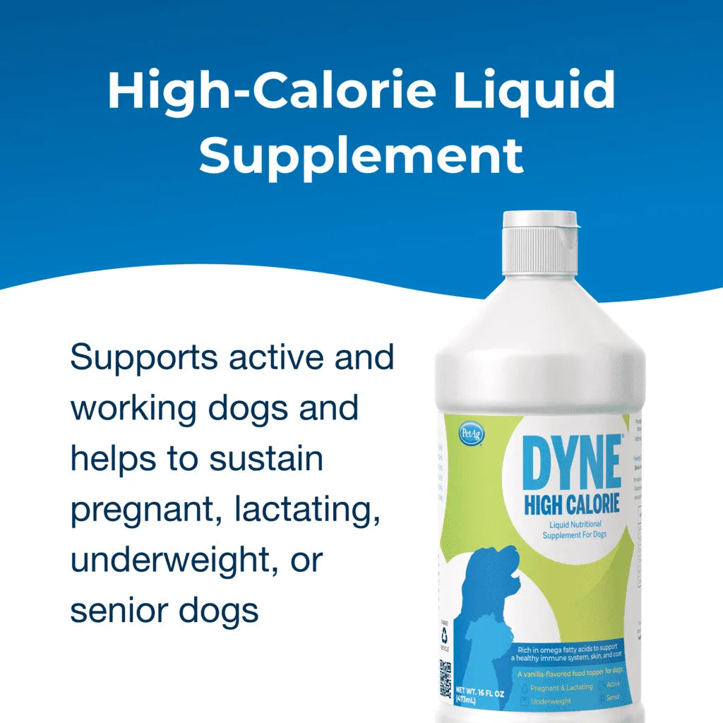 Petag DYNE High Calorie Liquid Nutritional Supplement for Dogs 16 oz