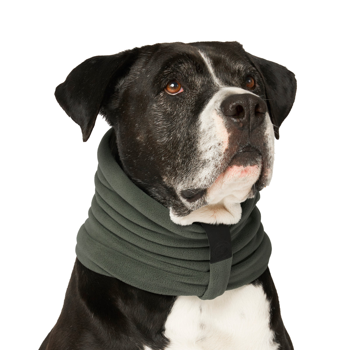 Canada Pooch Green Thermal Snood Scarf for Dogs