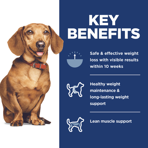 Hill's Science Diet Small & Mini Adult Perfect Weight Dry Dog Food 4 lb