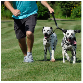 Coastal Pet Products 2 Dog Adjustable Coupler Leash Attachment, 3/8 Wide 18-24"