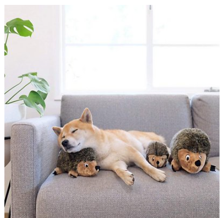 Outward Hound Hedgehogz Squeaking Plush Dog Toy