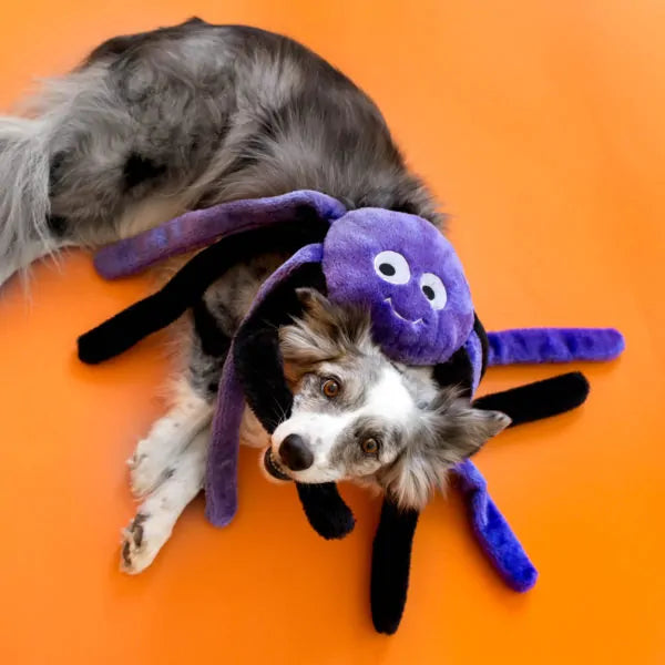 Zippy Paws Halloween Grunterz Purple Spider Plush Dog Toy 33 in