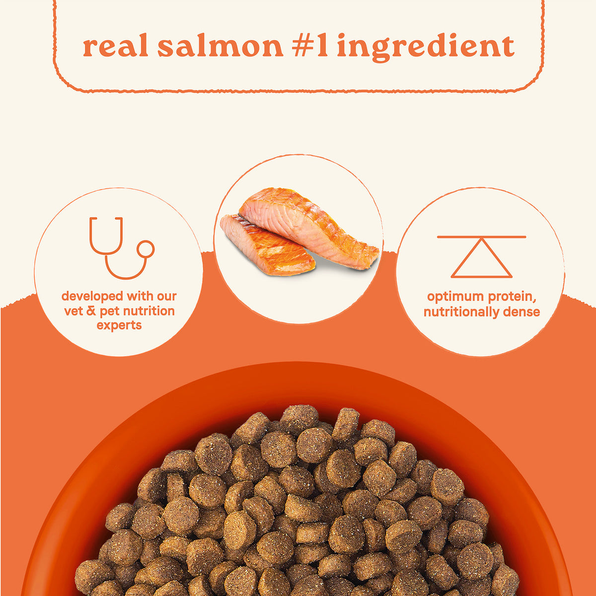 Canidae All Life Stages Real Salmon & Ancient Grains Recipe Dry Dog Food 27 lb