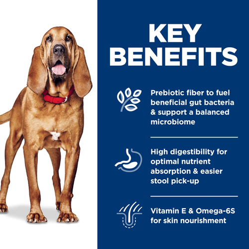 Hill's Science Diet Adult Sensitive Stomach & Skin Large Breed Chicken Recipe Dry Dog Food 30 lb