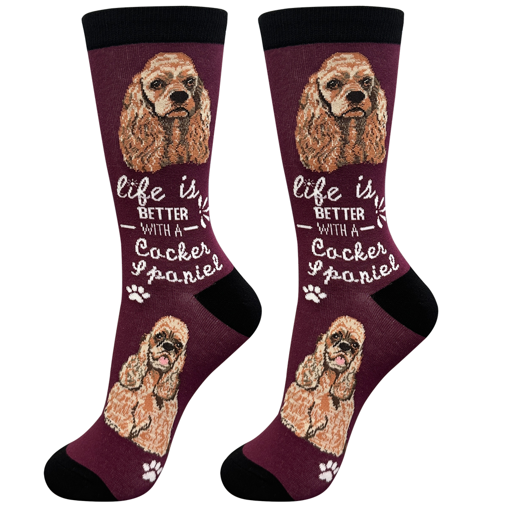 E & S Imports Life is Better With a Cocker Spaniel Socks