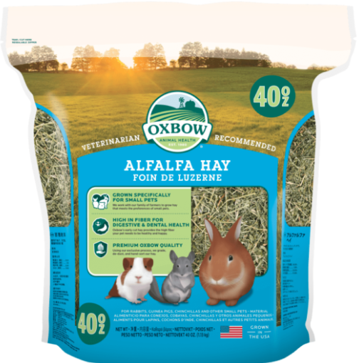 Oxbow Animal Health Alfalfa Hay 40 oz