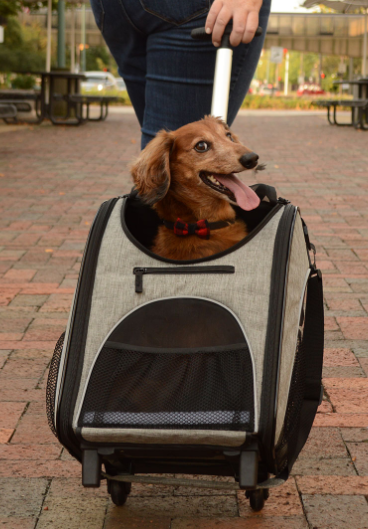 Bergan Rolling Carrier for Pets up to 15 lbs