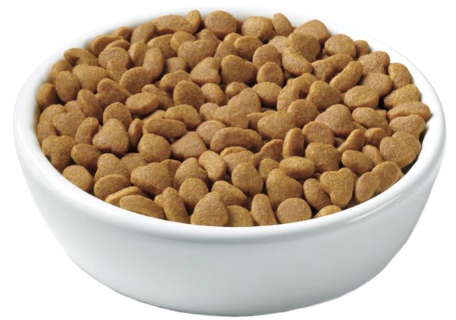 Purina Pro Plan Focus Adult Indoor Care Turkey & Rice Formula Dry Cat Food 7 lb
