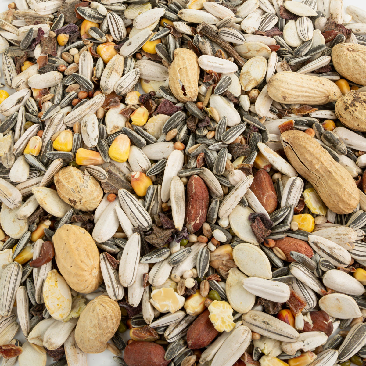 A&E Vita Line Complete Food for Amazon Parrots & Other Large Parrots 4.2 lb