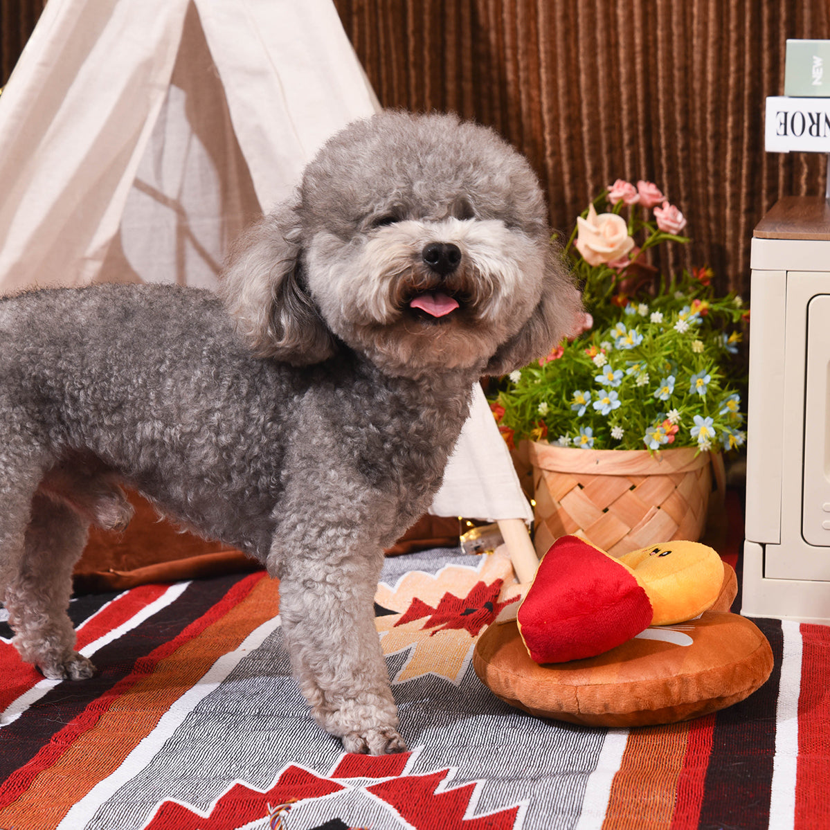 Hugsmart Picnic Time- Cheese Board Dog Toy 11 in
