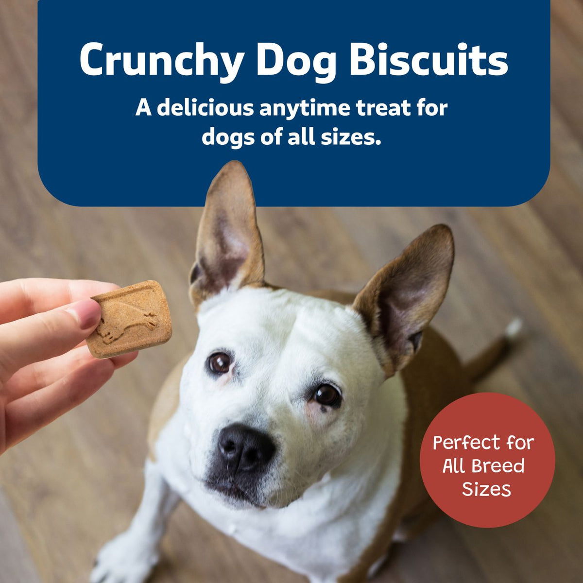 Blue Buffalo Health Bars With Bacon, Egg & Cheese For Dogs 16 oz
