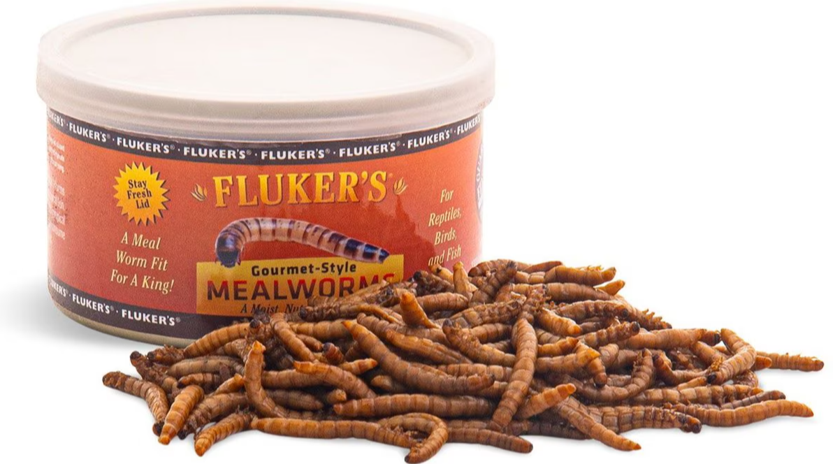 Fluker's Gourmet-Style Mealworms Canned Reptile Food 1.2 oz