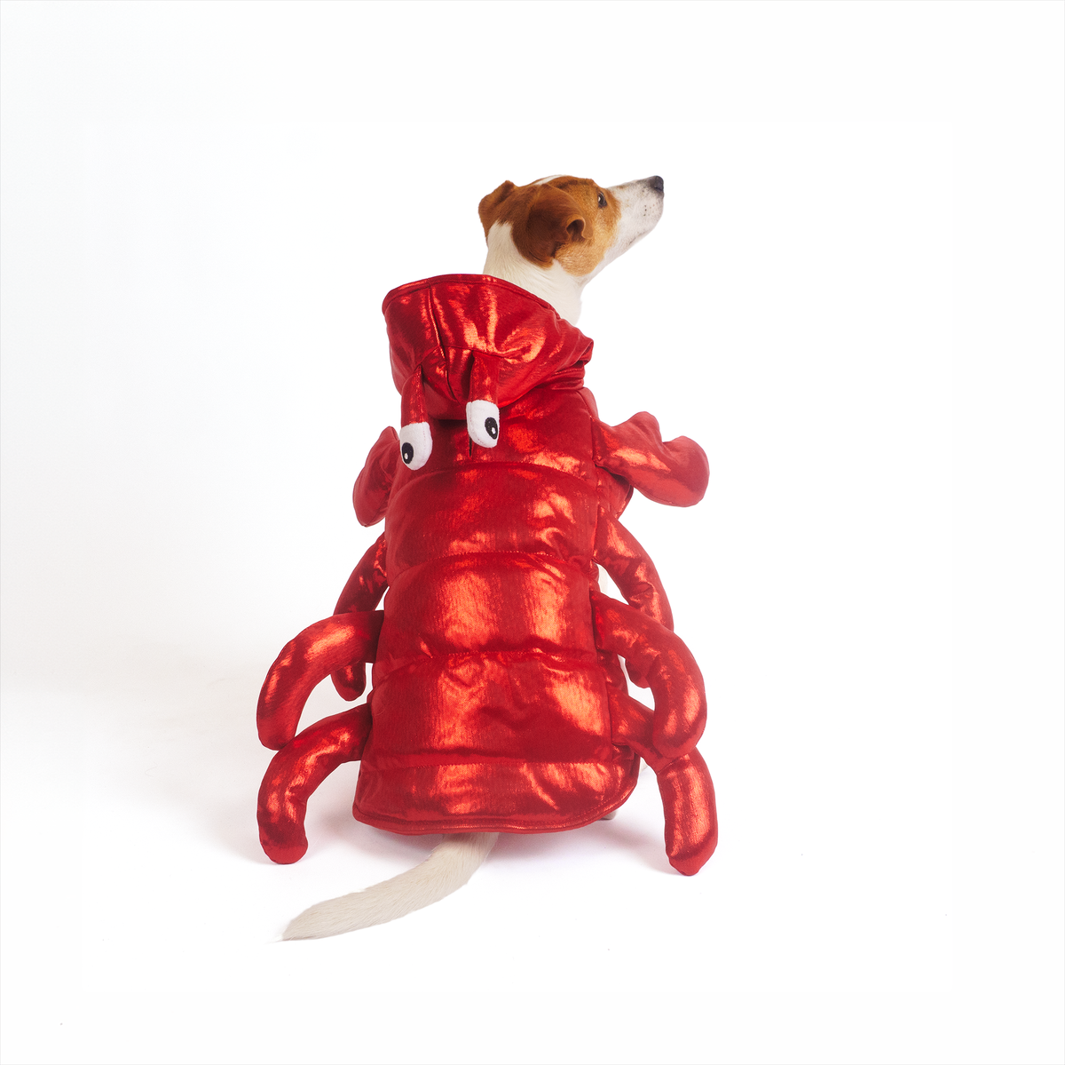Silverpaw Halloween Lobster Pet Costume
