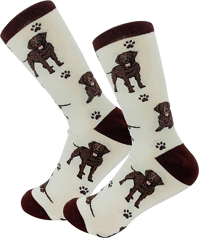 E & S Imports Pet Lover Socks Chocolate Labrador Dog, Unisex, One Size Fits Most