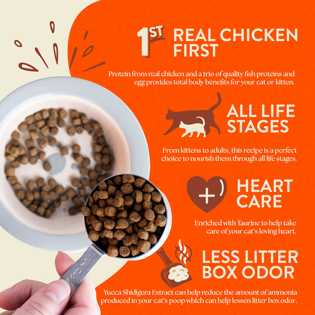 Earthborn Holistic Primitive Feline Grain-Free Natural Dry Cat & Kitten Food