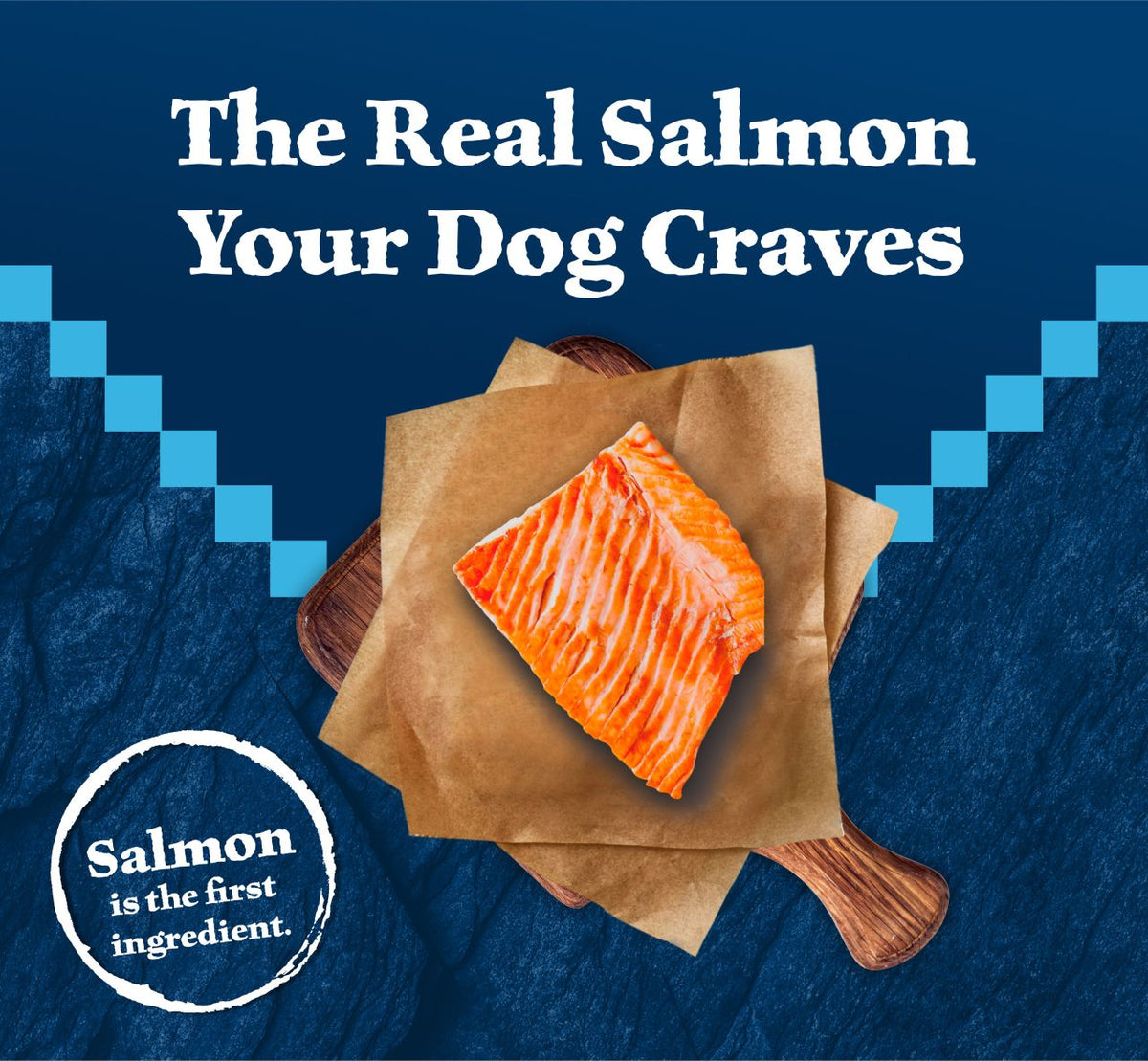 Blue Buffalo Wilderness Nature's Evolutionary Diet with Salmon & Wholesome Grains Adult Recipe Dry Dog Food