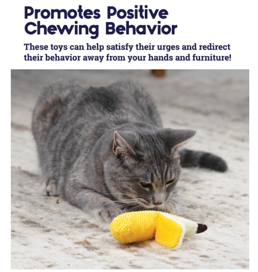 Catstages Dental Banana Cat Chew Toy