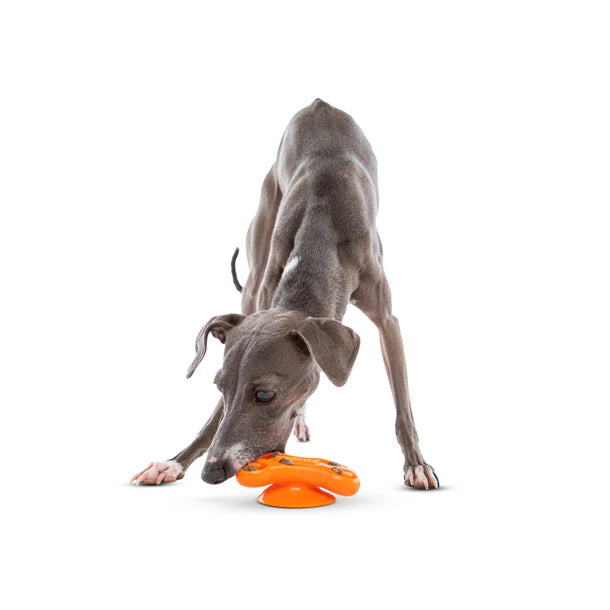 Guru Distracto-Pod Occupying Dog Toy