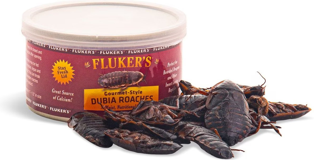Fluker's Gourmet-Style Dubia Roaches Canned Reptile Food 1.2 oz