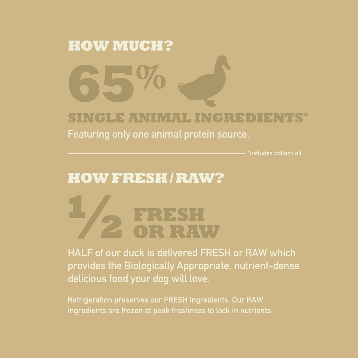 Acana Singles Limited Ingredient Diet Duck & Pear Recipe Grain-Free Dry Dog Food 22.5 lb