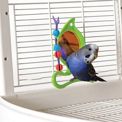 Caitec Jungle Mirror Bird Toy