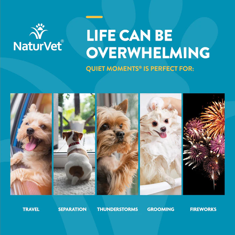 Naturvet Quiet Moments Soft Chews Calming Supplement for Dogs