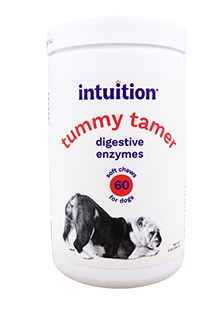 Intuition Soft Chews Digestive Enzymes Supplement for Dogs 60 ct