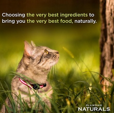 Diamond Naturals Indoor Formula Dry Cat Food