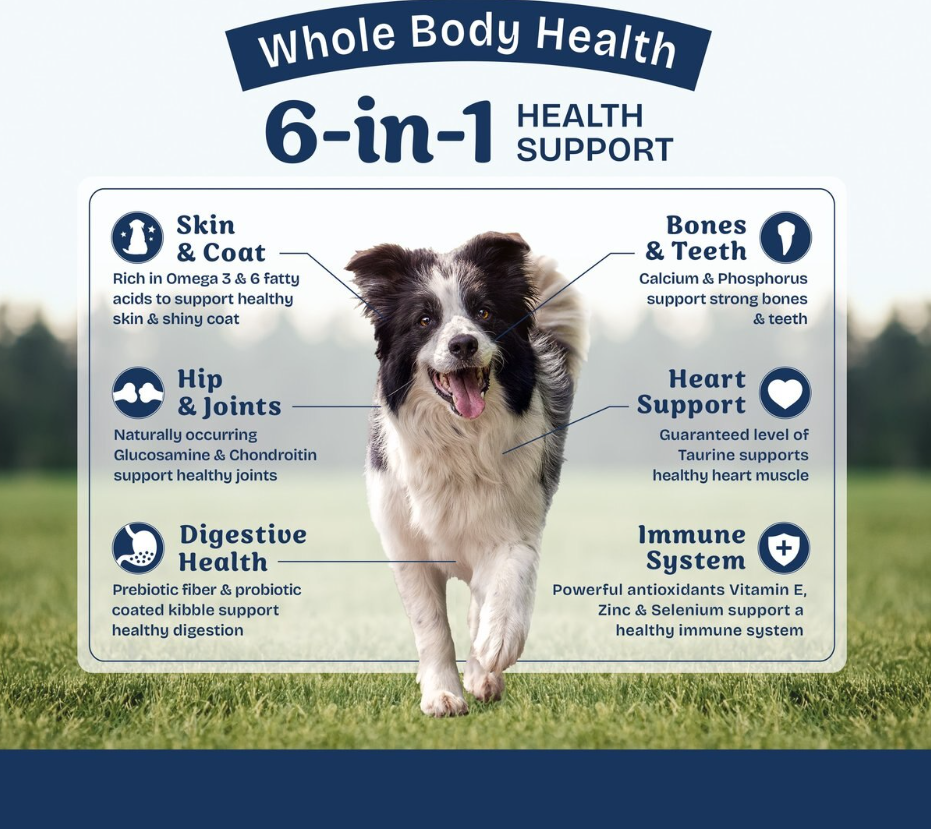 Natural Balance Health Protection Adult Salmon, Brown Rice & Pumpkin Dry Dog Food