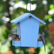 Nature's Way Bird Banquet Recycled Plastic Hopper Wild Bird Feeder 2 qt
