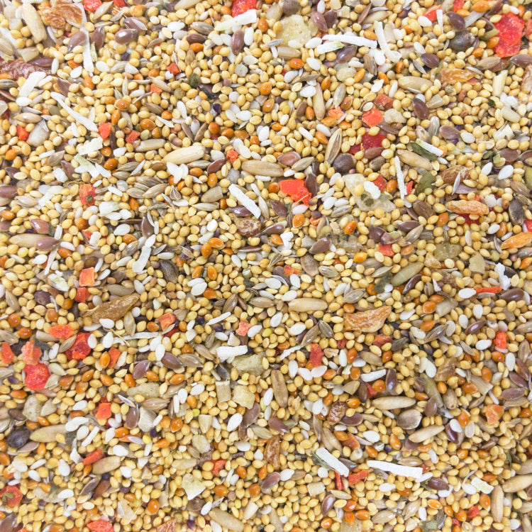 Higgins Sunburst Gourmet Natural Fruits & Veggies Treat for Small Birds 3 oz