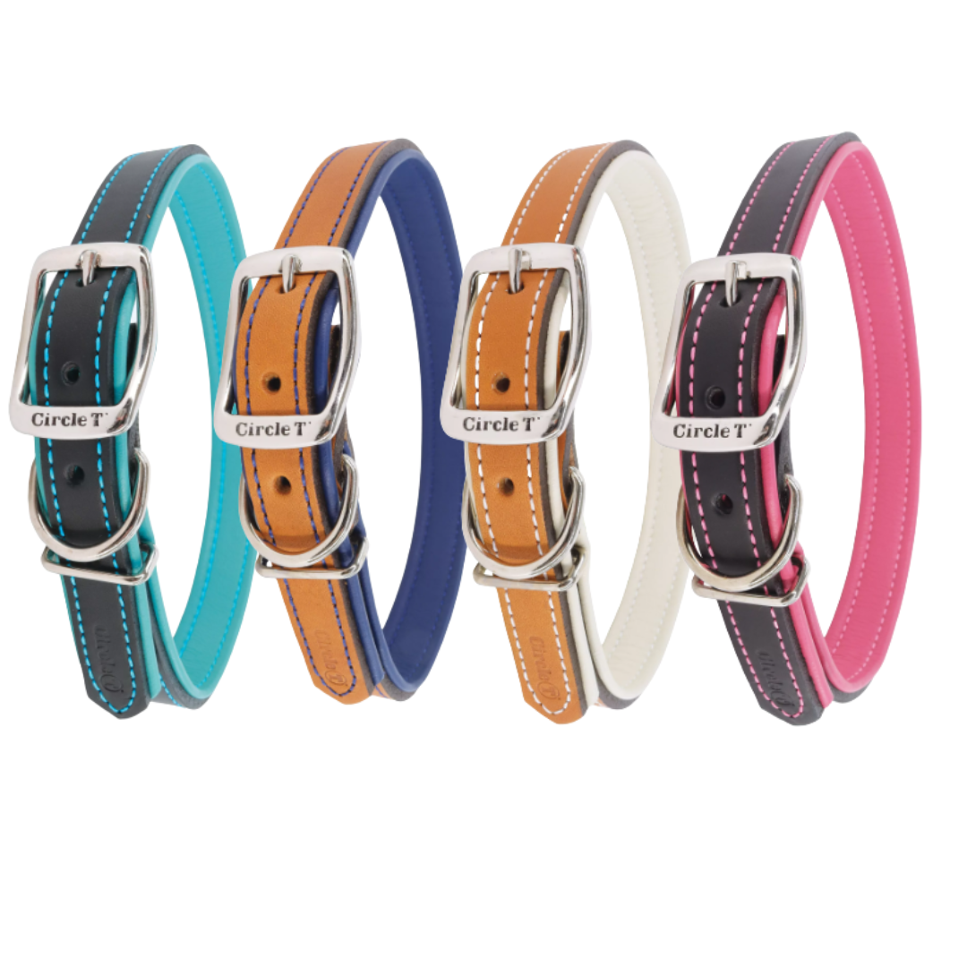 Coastal Pet Products Circle T Layered Fashion Leather Dog Collar