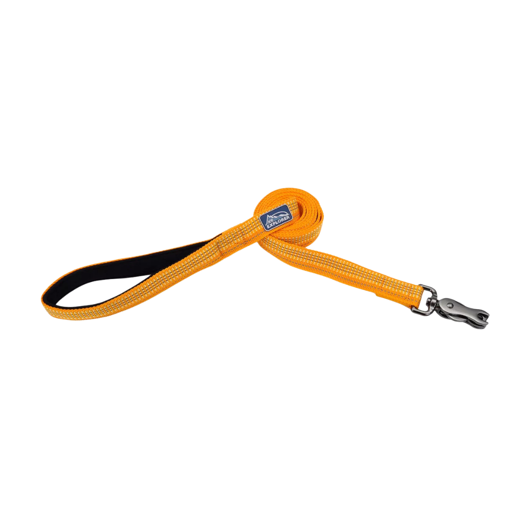 Coastal Pet Products K9 Explorer Brights Reflective Dog Leash- Desert 1/2 in x 6 ft