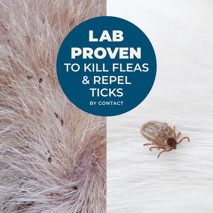 Wondercide Flea & Tick Shampoo for Dogs & Cats- Peppermint Scent
