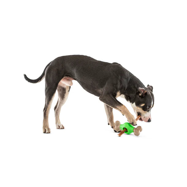 Guru Adjust-A-Chew Chew Stick Holder for Dogs