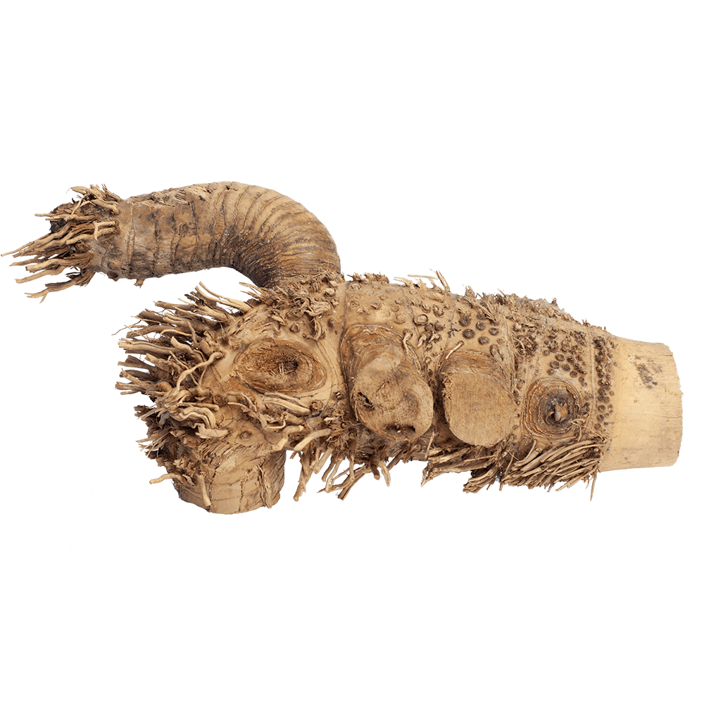 A&E Small Spider Wood Root Reptile Branch