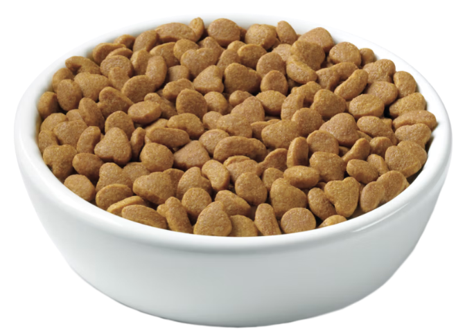 Purina Pro Plan Kitten Chicken & Rice Formula Dry Cat Food 7 lb