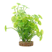 Fluval Yellow Green Lysimachia Aquarium Plant 8 in