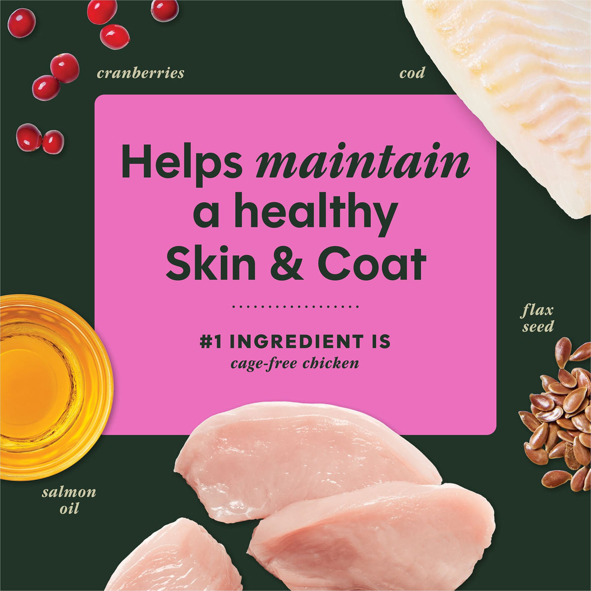 Instinct Raw Boost Mixers Skin & Coat Health Dog Food Topper