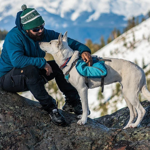 Kurgo Baxter Backpack for Dogs up to 85 lbs