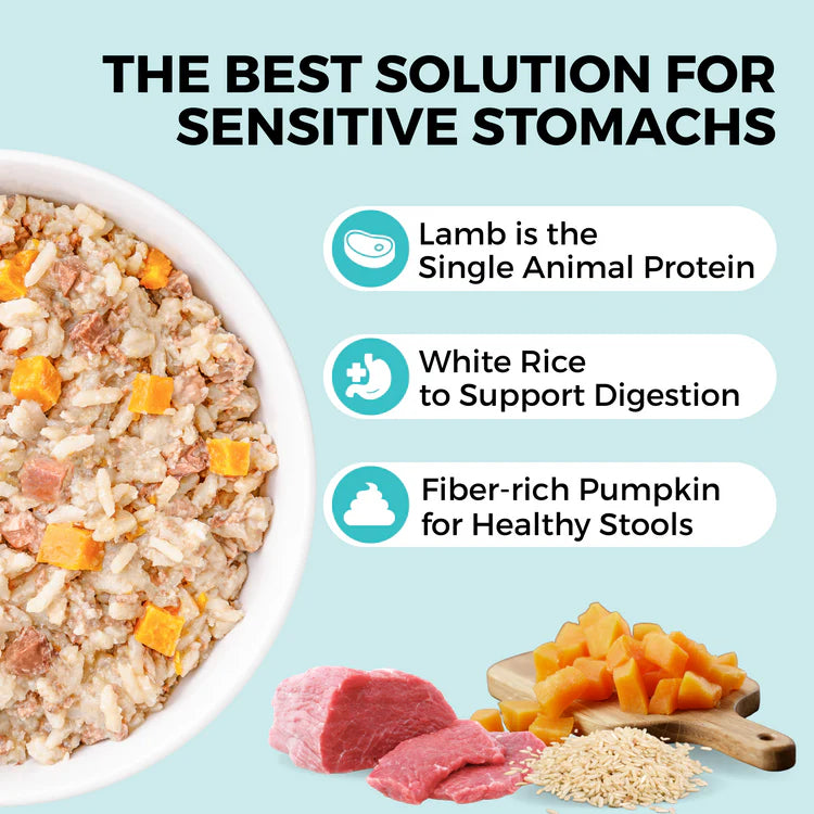 Koha Limited Ingredient Wet Bland Diet Lamb & White Rice With Pumpkin Recipe for Dogs