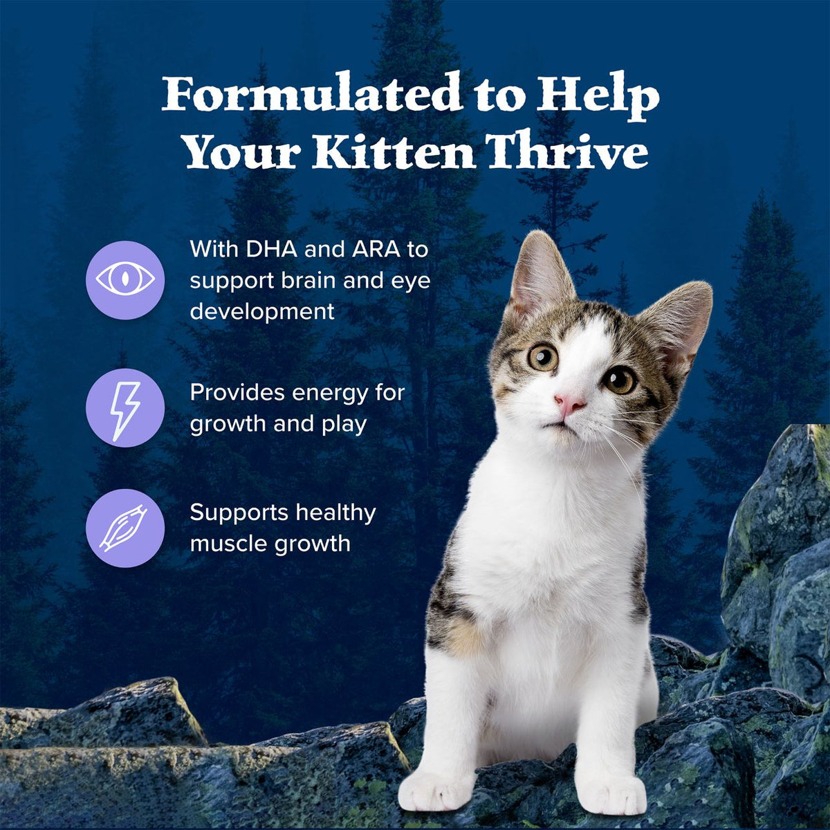 Blue Buffalo Wilderness Kitten Chicken Recipe Grain-Free Dry Cat Food 5 lb