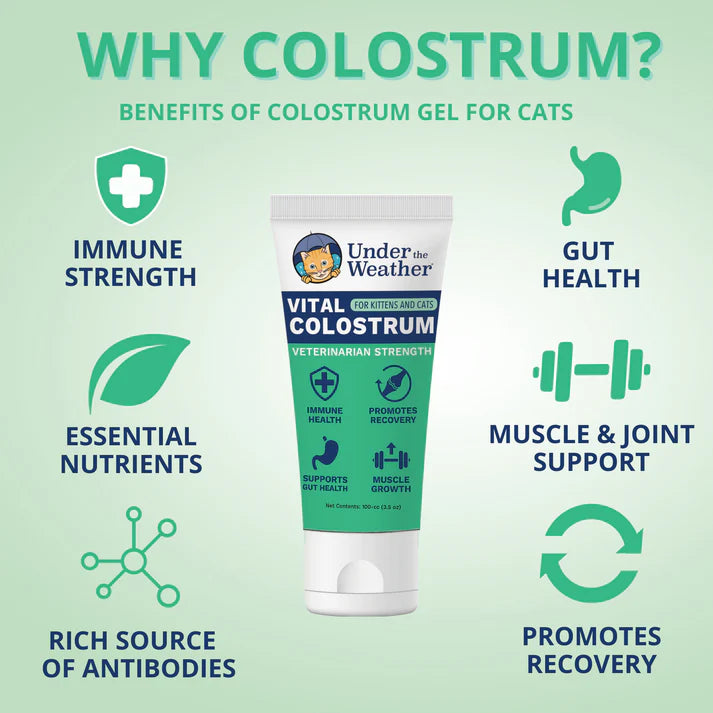 Under The Weather Vital Colostrum Gel for Cats & Kittens 3.5 oz