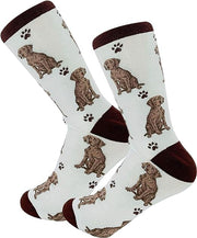 E & S Imports Pet Lover Socks Weimaraner Dog, Unisex, One Size Fits Most