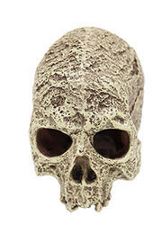 Incredipet Textured Human Skull Reptile Terrarium Ornament