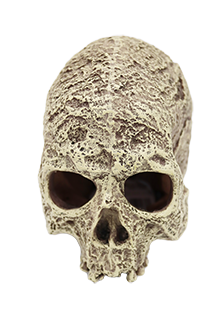 Incredipet Textured Human Skull Reptile Terrarium Ornament
