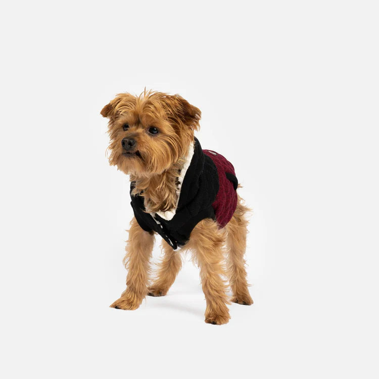 Silverpaw Jasper Dog Jacket