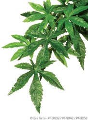 Exo Terra Silk Abutilon Terrarium Plant