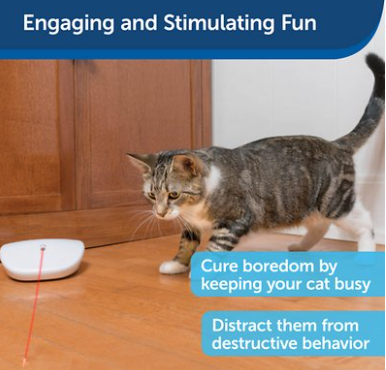 PetSafe Laser Tail Cat Toy